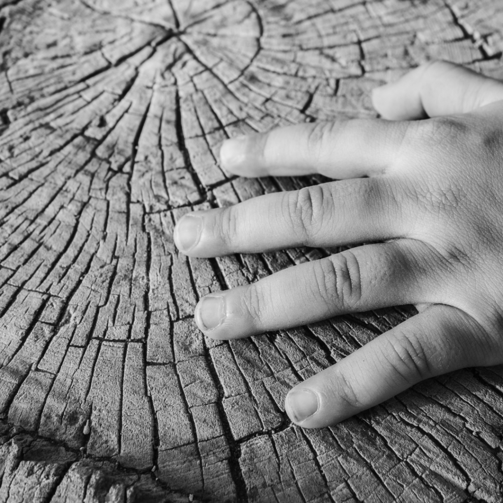 tendências de revestimentos: textura