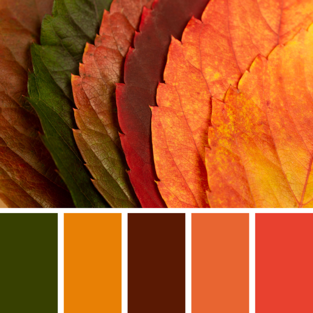 paleta de cores primavera