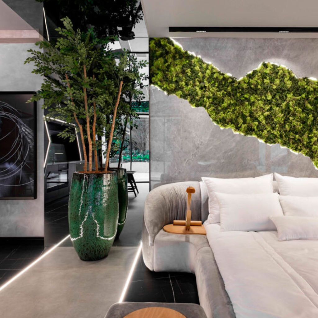 Interior design orgânica