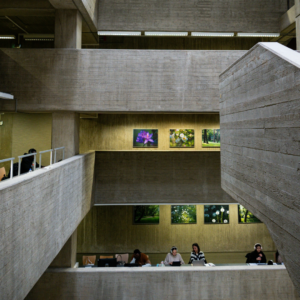 Ambiente brutalista